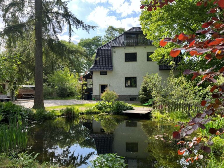 Teich